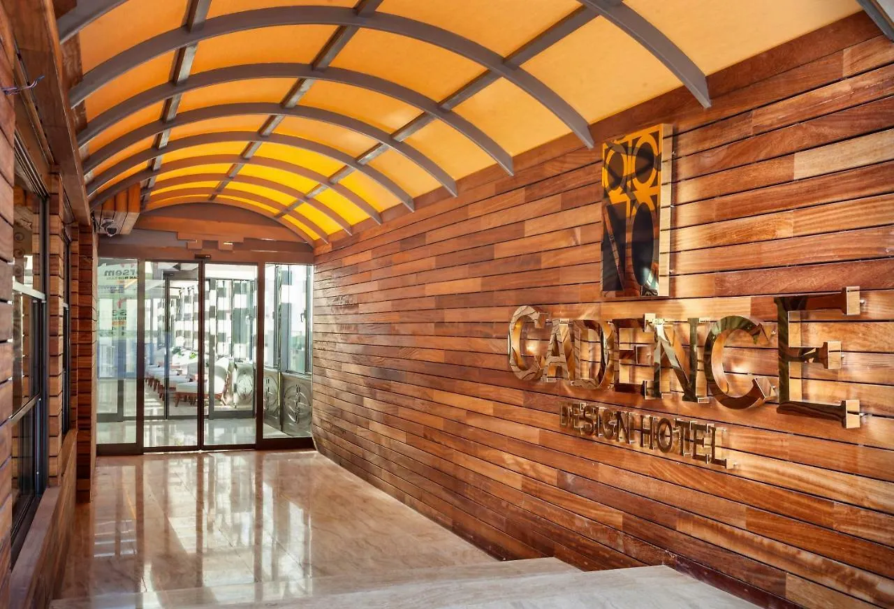 Cadence Design Hotel アンカラ