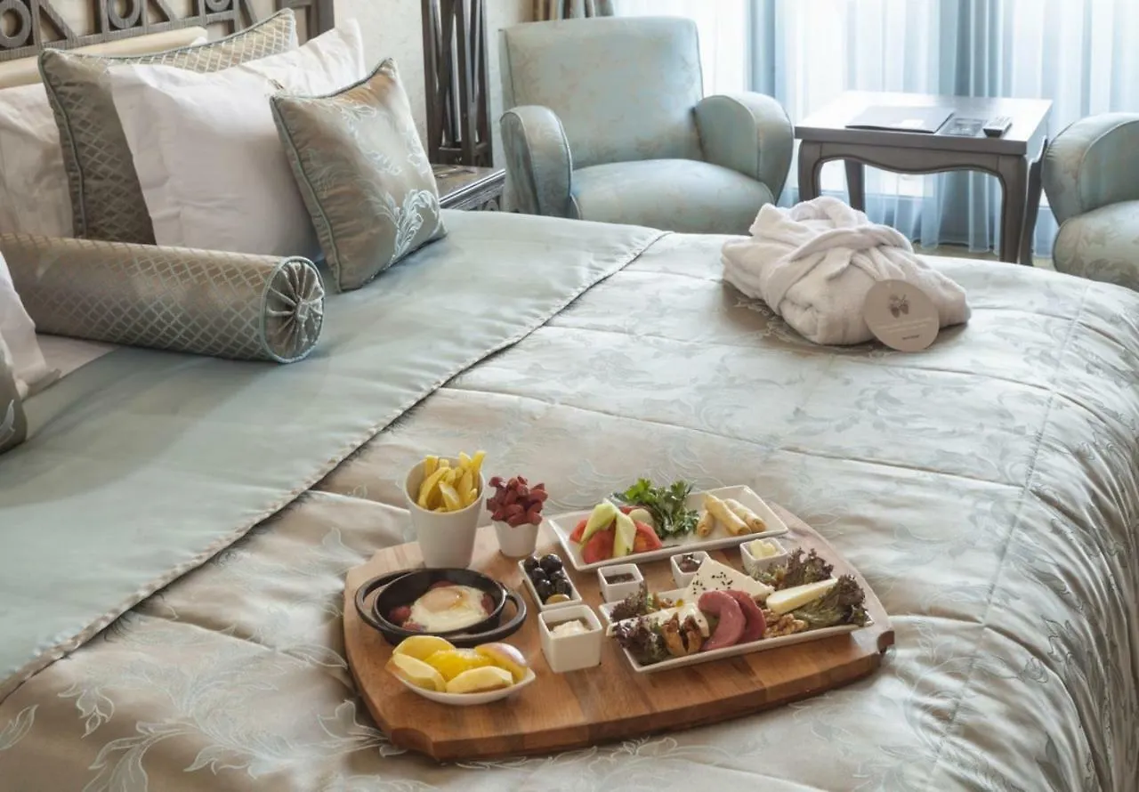 Cadence Design Hotel アンカラ